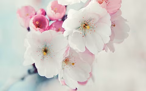 Nhờ lộc trời ban, những con giáp này cả đời ăn sung mặc sướng