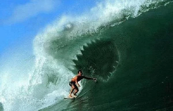 Rợn người với tay lướt ván giỡn mặt tử thần cá mập