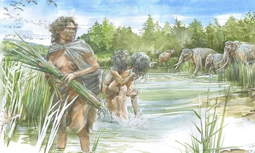 Dấu chân 300.000 năm tiết lộ họ hàng đầu tiên của loài người