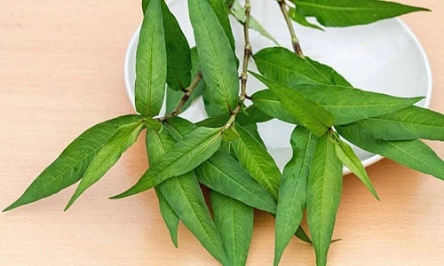 Điểm danh những loại thực phẩm kỵ thịt gà chị em cần biết