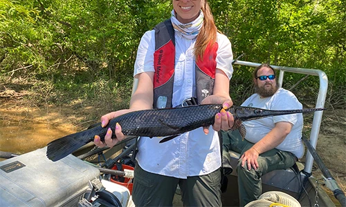 Bất ngờ bắt được cá “hóa thạch sống” hiếm thấy, chuyên gia kinh ngạc 