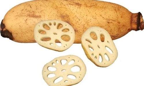 5 bài thuốc từ ngó sen chữa xuất huyết hiệu quả