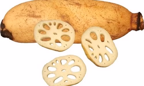 5 bài thuốc từ ngó sen chữa xuất huyết hiệu quả