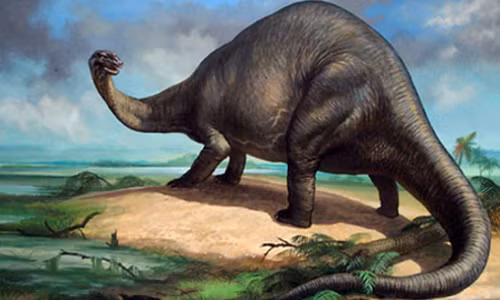 Những khám phá gây choáng váng về loài khủng long