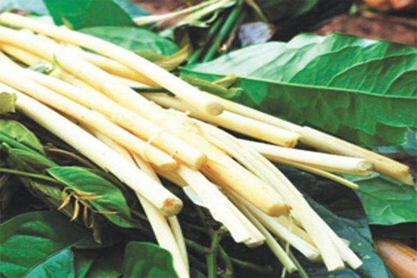 Đặc sản rau rừng dân dã mà đưa cơm