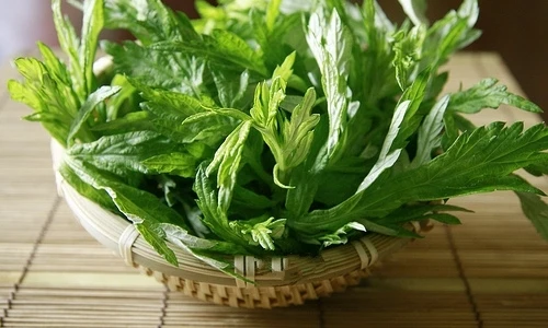 Những loài cây trồng trong nhà để xua tà khí