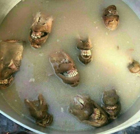 Những món ăn kinh dị ai yếu bóng vía chỉ nhìn đã khóc thét 