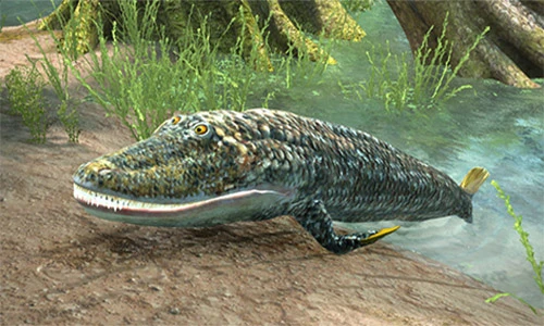 Loài vật quái nhất hành tinh: Lên bờ làm thú, xuống nước hóa cá 