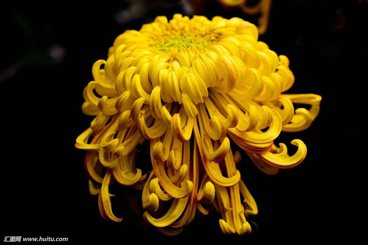 Dự đoán tuần mới 25/06 - 01/07/2018 cho 12 con giáp