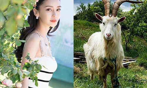 Mặc tháng cô hồn: 3 con giáp vẫn rủng rỉnh tiền tiêu, công danh phát