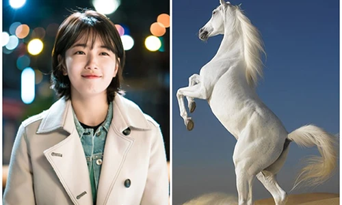 Từ giờ đến cuối 2022, 3 con giáp nổ lộc liên tiếp, tiền đẻ ra tiền