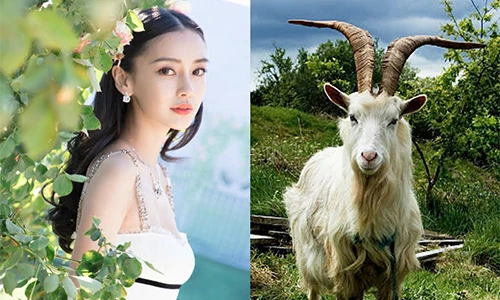 Đúng 10 ngày tới, 3 con giáp tài lộc lên hương, tha hồ hốt bạc