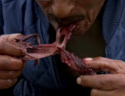 Thử can đảm với món chim chết nhồi hải cẩu thối