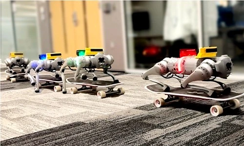 Ấn tượng khoảnh khắc robot trượt ván, giao hàng chuyên nghiệp