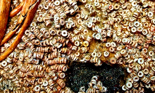 Khai quật phòng chôn cất 5.000 tuổi, chuyên gia ngã quỵ vì...