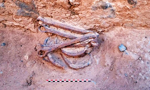 Sự thật tàn bạo sau dấu vết xiềng xích tại mỏ vàng Ai Cập