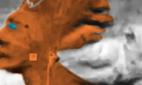 Rùng mình những gương mặt quái dị xuất hiện trên sao Hỏa (1)