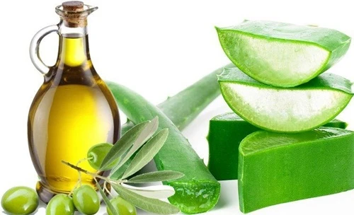 Đẩy lùi lão hóa da, xóa nếp nhăn với tinh dầu ô liu