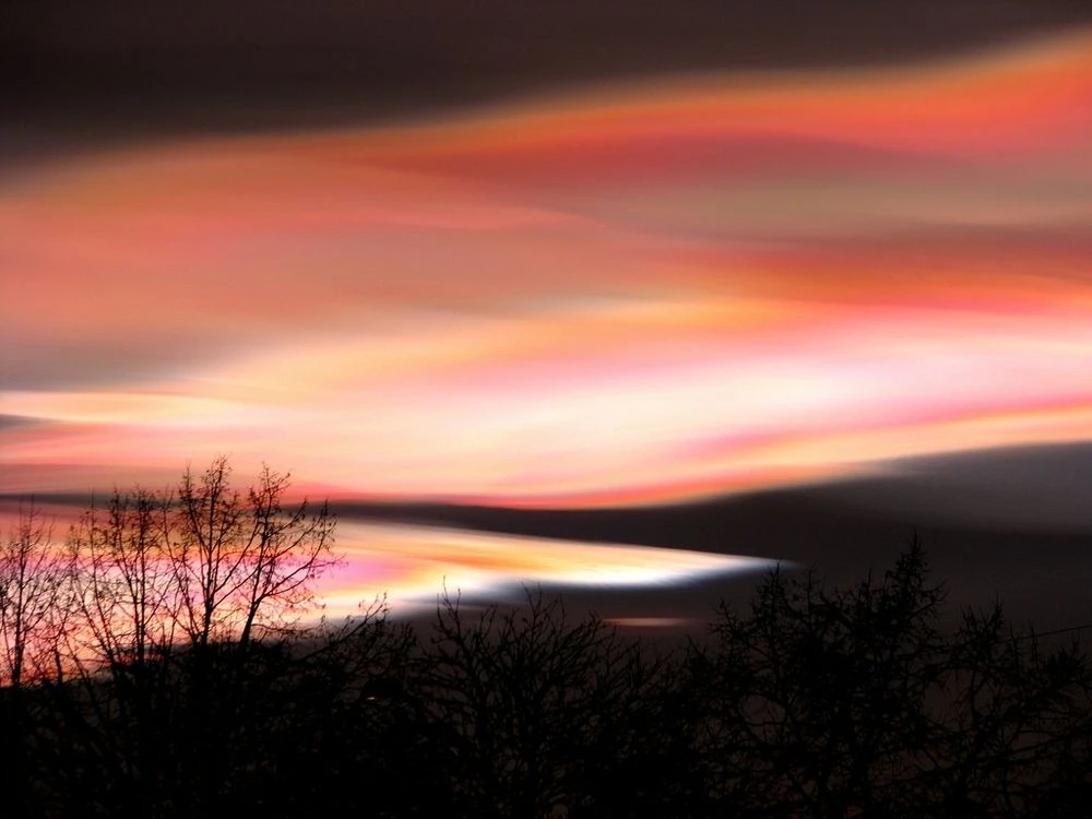 Chùm ảnh: Sự bí ẩn và vẻ đẹp khó cưỡng của mây xà cừ