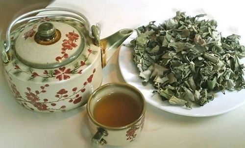 Các bài thuốc trà dược hỗ trợ điều trị gan nhiễm mỡ