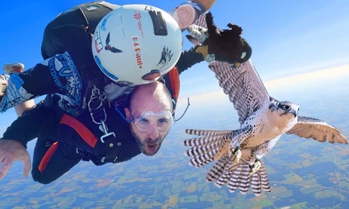 Top loài chim bay nhanh nhất thế giới, đại bàng không phải số 1 