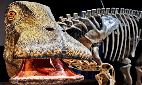 Sự thật chấn động loài khủng long sở hữu 500 chiếc răng lạ lùng 