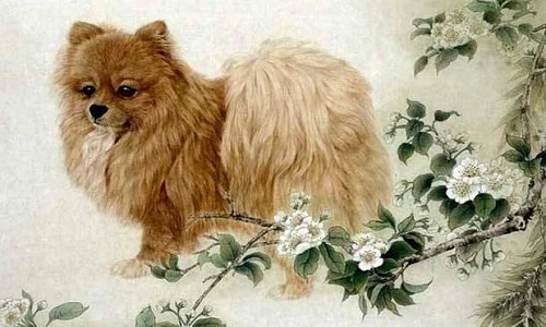 Dự đoán ngày mới 06/08/2021 cho 12 con giáp: Mão đỏ duyên, Tuất đen tình 