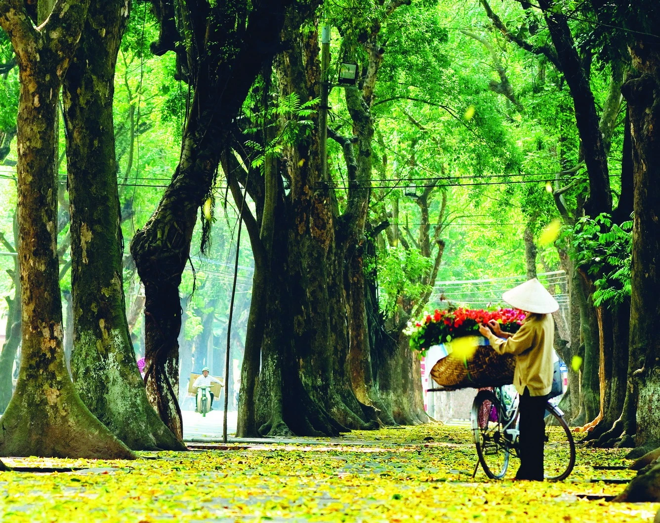 Dự đoán ngày mới 07/03/2018 cho 12 con giáp