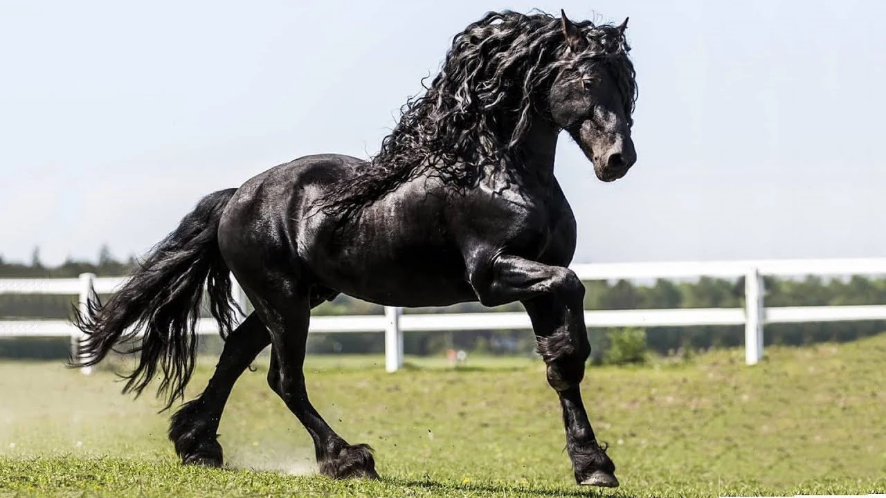 10 ngày tới, 3 con giáp “vạ miệng” gây oán với tiểu nhân, dễ bị tranh công