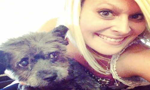 Lập kế hoạch cuối đời cho chó mắc bệnh ung thư 