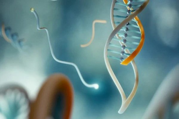 Các loại bệnh ung thư có tính di truyền cao