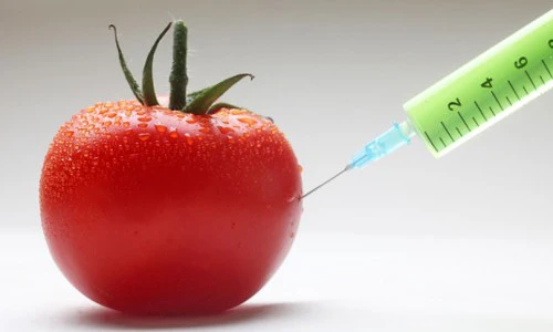 5 tin đồn sai lầm trong chế độ ăn uống