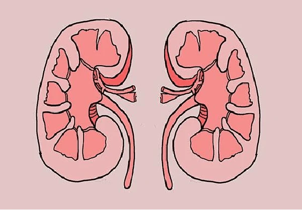 Người thận khỏe, sinh lý tốt có 3 bộ phận này ấm nóng