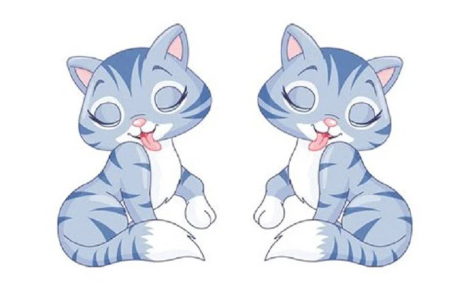 Dự đoán ngày mới 23/10/2019 cho 12 con giáp: Hợi đại phát, Mùi hao tài