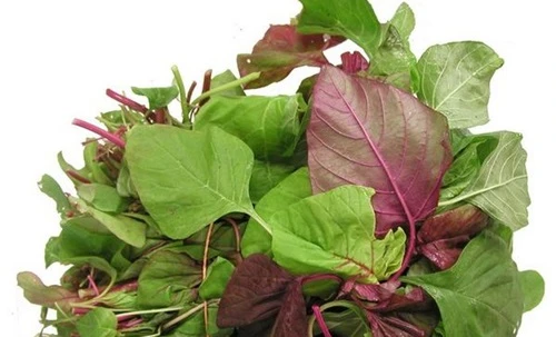 Bài thuốc chữa tiêu chảy cực kỳ đơn giản từ rau dền