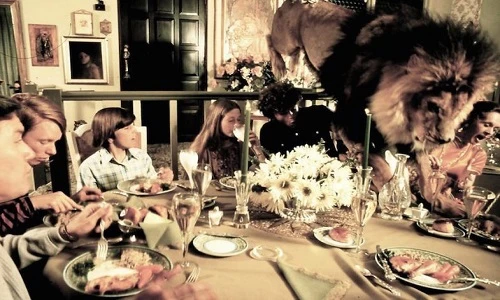 Cặp đôi nuôi cả đàn sư tử để làm phim gây sốc