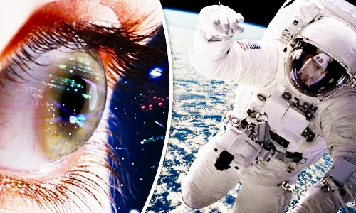 Sống trong vũ trụ lâu ngày, mắt của phi hành gia sẽ ra sao? 