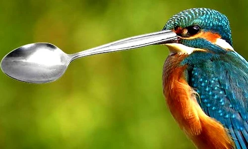 Hé lộ bất ngờ về thế giới tự nhiên, ai nghe cũng ngỡ ngàng 