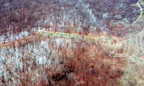 Bí ẩn loạt hình vẽ mặt đất khổng lồ, chuyên gia cũng khó giải