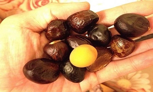 Khám phá đặc sản hạt mề gà ngon khó cưỡng của núi rừng Tây Bắc