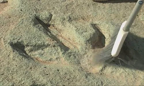 9 thứ khó tin bất ngờ phát hiện trên đường thám hiểm