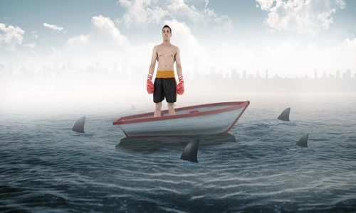 Sự thật rùng mình về những vụ cá mập tấn công người 