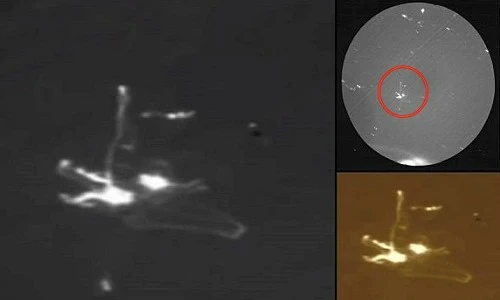 NASA tiết lộ vật thể bí ẩn xuất hiện cạnh tàu Apollo 17