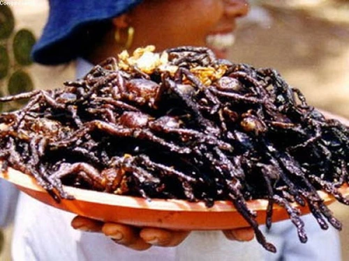 Cực dị món ăn lông lá, bốc mùi nhưng ăn vào lại gây nghiền