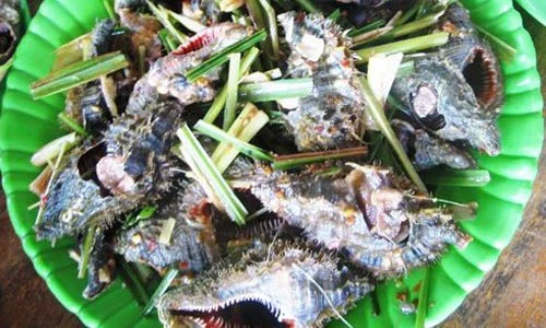 Khám phá về ốc lông xấu xí, đặc sản miền trung