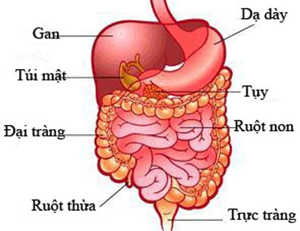 Tiết lộ bất ngờ về bệnh ung thư đại tràng