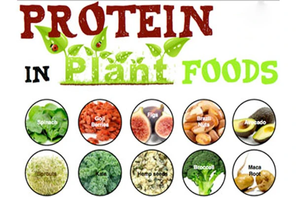 Chế độ ăn giàu đạm ảnh hưởng đến ung thư thế nào?