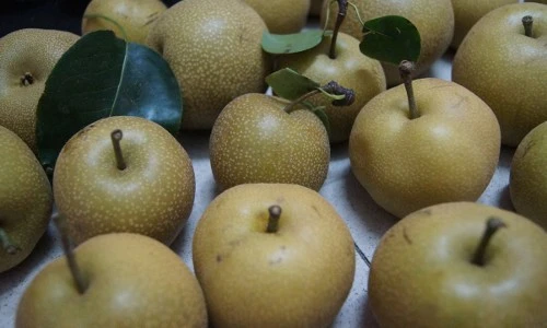 Khám phá bất ngờ về quả mắc cọp, đặc sản Tây Bắc