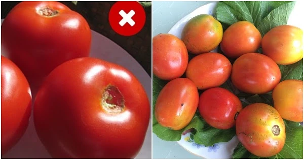 4 loại rau dễ “tắm” hóa chất: Mẹo nhận biết đơn giản nhất