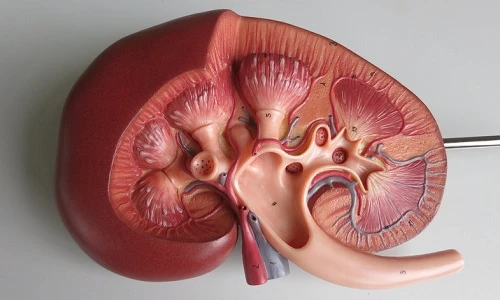 Sự thật giật mình về chính con người chúng ta (2)